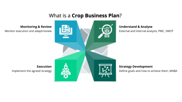 From Insight to Action: How Market Research Shapes a Better Crop Business Plan